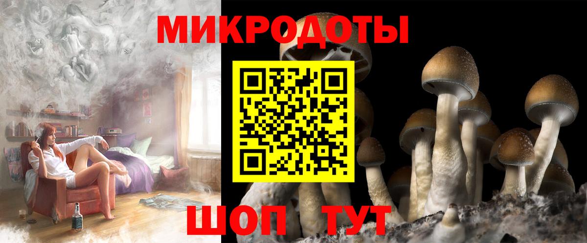 Псилоцибиновые грибы Psilocybe  Вход с VPN  Ростов Великий 